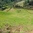  Land for sale in El Carmen De Viboral, Antioquia, El Carmen De Viboral