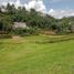  Land for sale in El Carmen De Viboral, Antioquia, El Carmen De Viboral