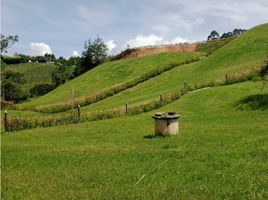  Land for sale in El Carmen De Viboral, Antioquia, El Carmen De Viboral