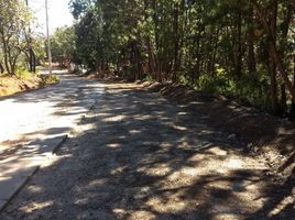  Terrain for sale in Mascota, Jalisco, Mascota