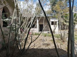  Terreno (Parcela) en venta en Irapuato, Guanajuato, Irapuato