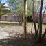  Terreno (Parcela) en venta en Irapuato, Guanajuato, Irapuato