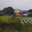  Terreno (Parcela) en venta en Lembang, West Jawa, Lembang, Bandung, West Jawa