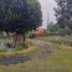  Terreno (Parcela) en venta en Lembang, West Jawa, Lembang, Bandung, West Jawa