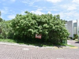  Grundstück zu verkaufen in Zapopan, Jalisco, Zapopan