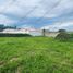  Land for rent in Puerto Vallarta, Jalisco, Puerto Vallarta, Jalisco