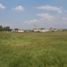  Land for sale in Apaseo El Grande, Guanajuato, Apaseo El Grande