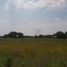  Land for sale in Apaseo El Grande, Guanajuato, Apaseo El Grande