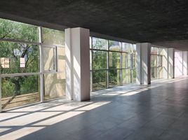172 m² Office for rent in Mexico City, Azcapotzalco, Mexico City