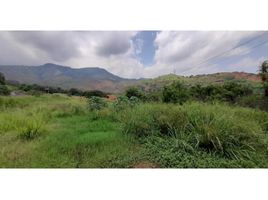  Terreno (Parcela) en venta en Palmira, Valle Del Cauca, Palmira