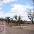  Terreno (Parcela) en venta en Lujan De Cuyo, Mendoza, Lujan De Cuyo