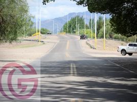  Terreno (Parcela) en venta en Lujan De Cuyo, Mendoza, Lujan De Cuyo