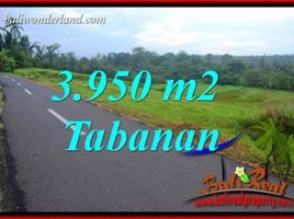  Land for sale in Selemadeg, Tabanan, Selemadeg