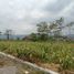 2 Bedroom House for sale in Piyungan, Bantul, Piyungan