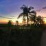  Land for sale in Dist Pochutla, Oaxaca, Dist Pochutla