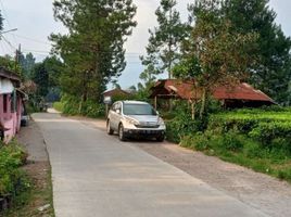  Land for sale in Cisarua, Bogor, Cisarua