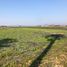  Land for sale in Acatlan De Juarez, Jalisco, Acatlan De Juarez