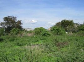  Grundstück zu verkaufen in Miacatlan, Morelos, Miacatlan