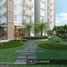 1 Bedroom Condo for sale at THE CELANDINE, Quezon City