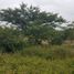  Terreno (Parcela) en venta en Cumbaya, Pichincha, Cumbaya
