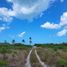 Terrain à vendre à Dzidzantun, Yucatan, Dzidzantun