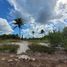 Terrain à vendre à Dzidzantun, Yucatan, Dzidzantun