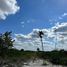 Terrain à vendre à Dzidzantun, Yucatan, Dzidzantun