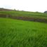  Terreno (Parcela) en venta en Ngamprah, West Jawa, Ngamprah, Bandung