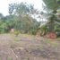  Land for sale in Pereira, Risaralda, Pereira