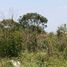  Terreno (Parcela) en venta en Progreso, Yucatán, Progreso