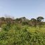  Terreno (Parcela) en venta en Progreso, Yucatán, Progreso