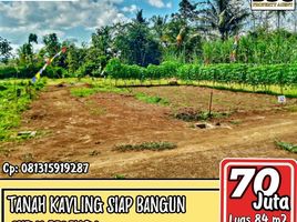  Tanah for sale in Malang Regency, East Jawa, Kepanjen, Malang Regency