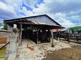 Studio Haus zu verkaufen in Tizimin, Yucatan, Tizimin
