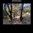  토지을(를) Tepoztlan, 모렐 로스에서 판매합니다., Tepoztlan