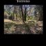  토지을(를) Tepoztlan, 모렐 로스에서 판매합니다., Tepoztlan