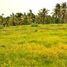  Land for sale in Selemadeg, Tabanan, Selemadeg