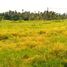  Land for sale in Selemadeg, Tabanan, Selemadeg