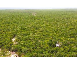  Grundstück zu verkaufen in Cozumel, Quintana Roo, Cozumel