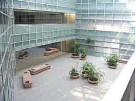 115 m² Office for rent in Monterrey, Nuevo Leon, Monterrey