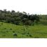  Land for sale in Remedios, Antioquia, Remedios