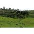  Land for sale in Remedios, Antioquia, Remedios