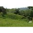  Land for sale in Remedios, Antioquia, Remedios