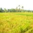  Land for sale in Sukawati, Gianyar, Sukawati