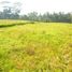  Land for sale in Sukawati, Gianyar, Sukawati