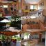  Terreno (Parcela) en venta en Araucanía, Villarrica, Cautín, Araucanía