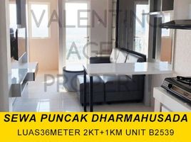 2 Bedroom Apartment for rent in Mulyorejo, Surabaya, Mulyorejo