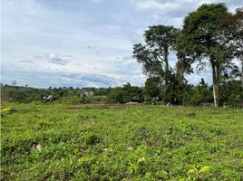  Terreno (Parcela) en venta en Alcala, Valle Del Cauca, Alcala