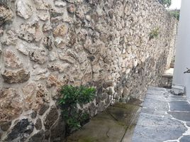 823 제곱미터입니다 Office for rent in Cuernavaca, 모렐 로스, Cuernavaca