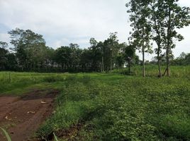  Tanah for sale in Kidung Kandang, Malang Regency, Kidung Kandang