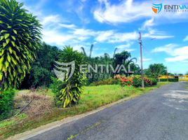  Land for sale in Santo Domingo De Los Colorados, Santo Domingo De Los Tsachilas, Santo Domingo De Los Colorados, Santo Domingo